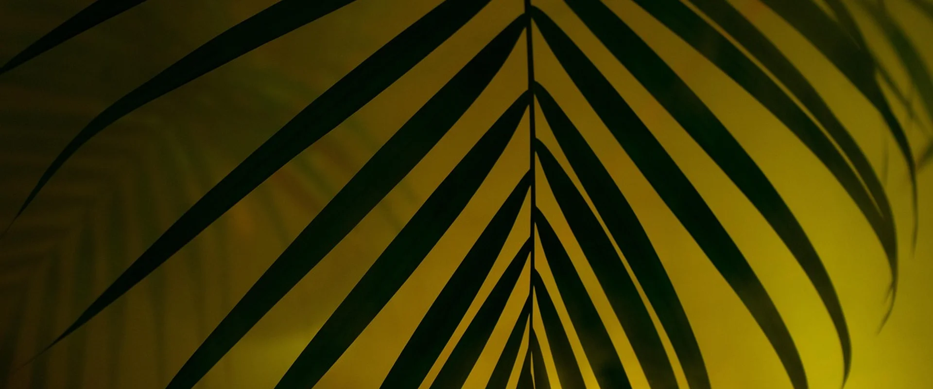 问鼎娱乐娱乐平台